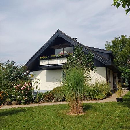 Ferienwohnung Sylvia Michelstadt Kültér fotó