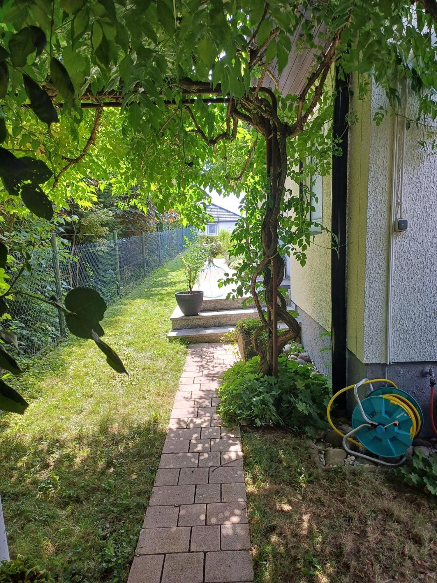 Ferienwohnung Sylvia Michelstadt Kültér fotó